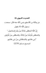 ​The Radiant Moon of Arabia ﷺ (Part 1) - Image 11