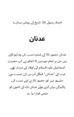 عرب کا نورانی چاند ﷺ (جلد اول) - اردو ایڈیشن - Image 6